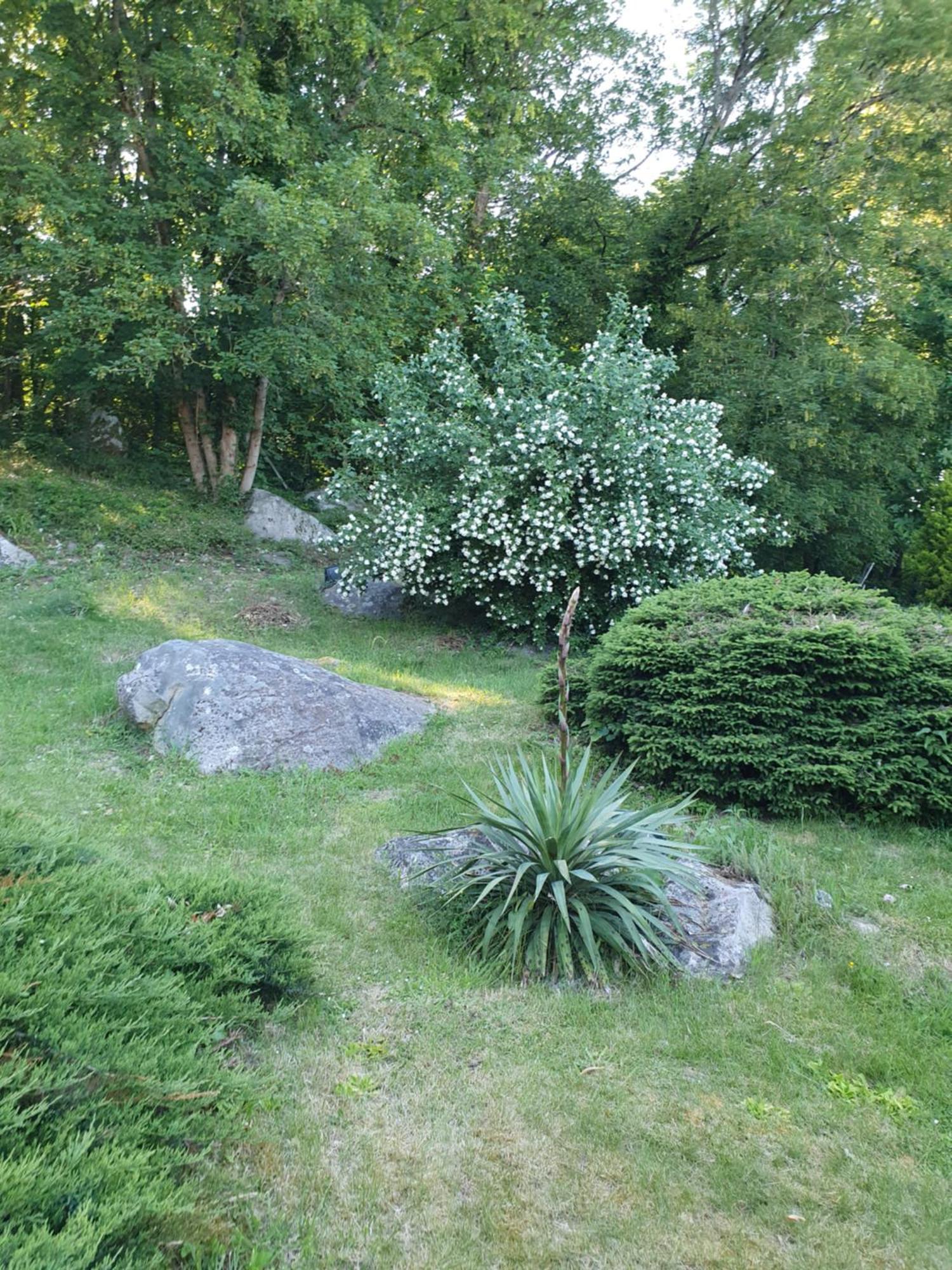 Le Jardin Des Roches Bed & Breakfast Moigny Exterior photo